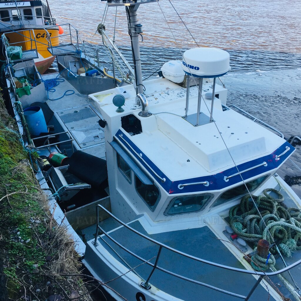 Cygnus cyfish 39 CHEAP BOAT