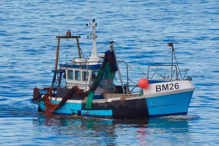 Wooden Potter / Netter