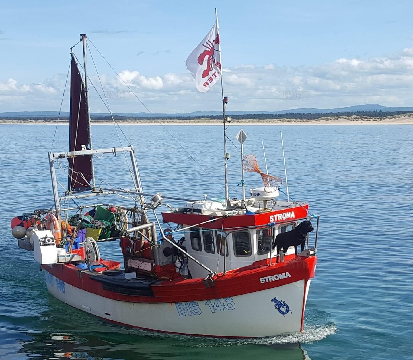 Large picture for advert 124666