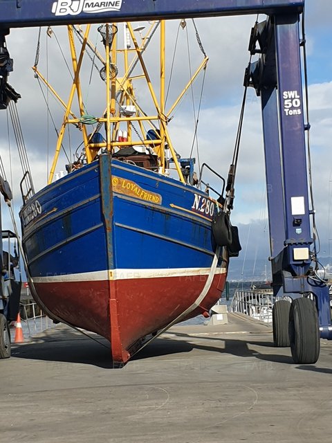 Large picture for advert 102716