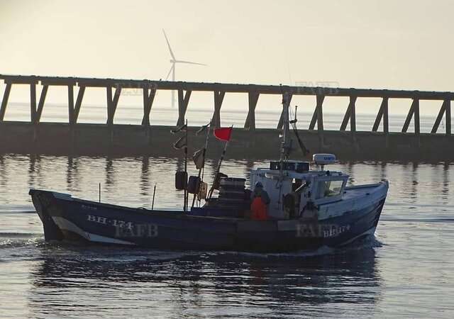 Large picture for advert 115666