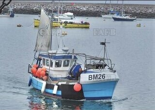 Large picture for advert 117316