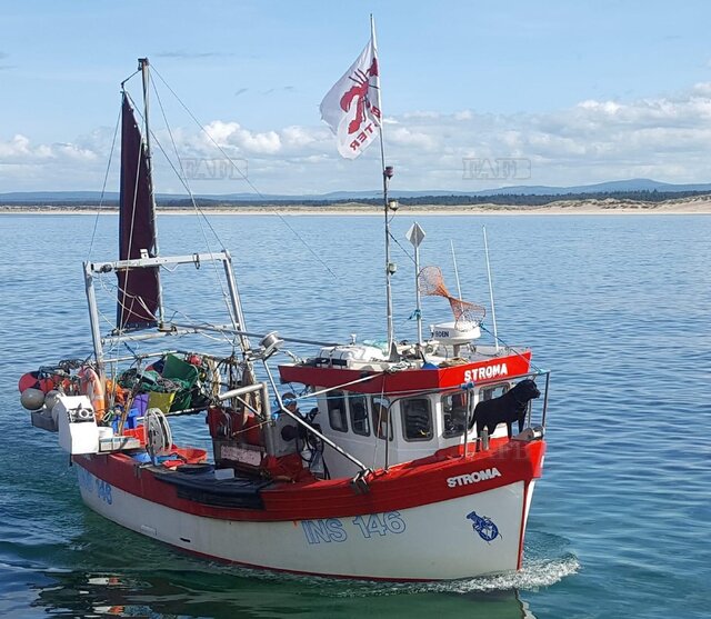 Large picture for advert 124666
