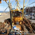 Extra picture for advert 102716