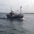 Extra picture for advert 105016