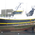 Extra picture for advert 102116